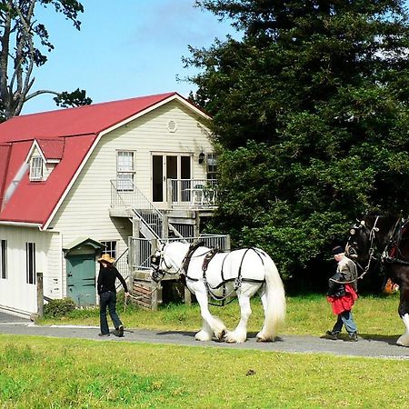 Вилла The Carriage House-Bay Of Islands Керайкри Экстерьер фото